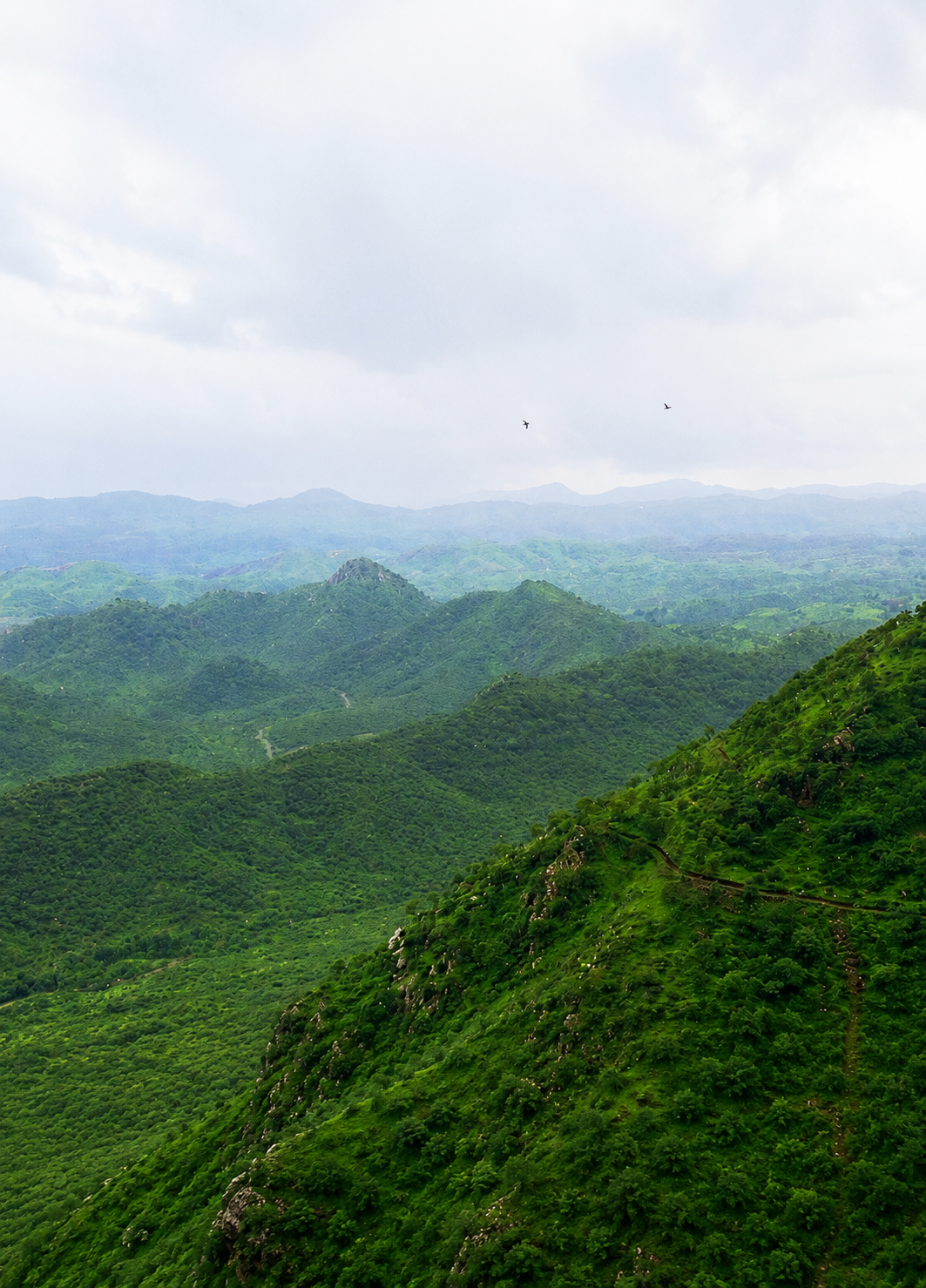 Aravalli hills startup valley landscape